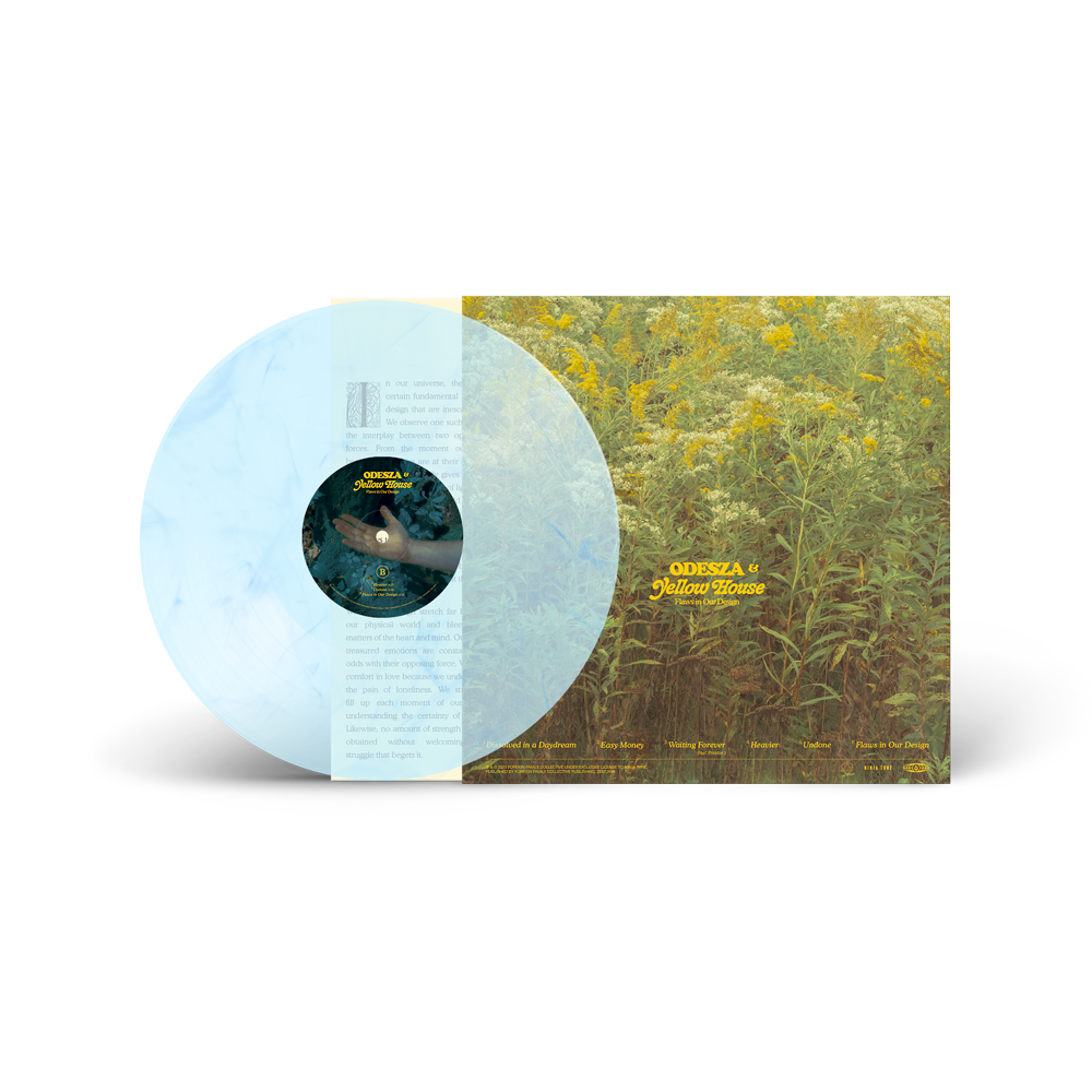 Flaws in Our Design LP - (Sky Blue Vinyl) Back Open Disc Feature