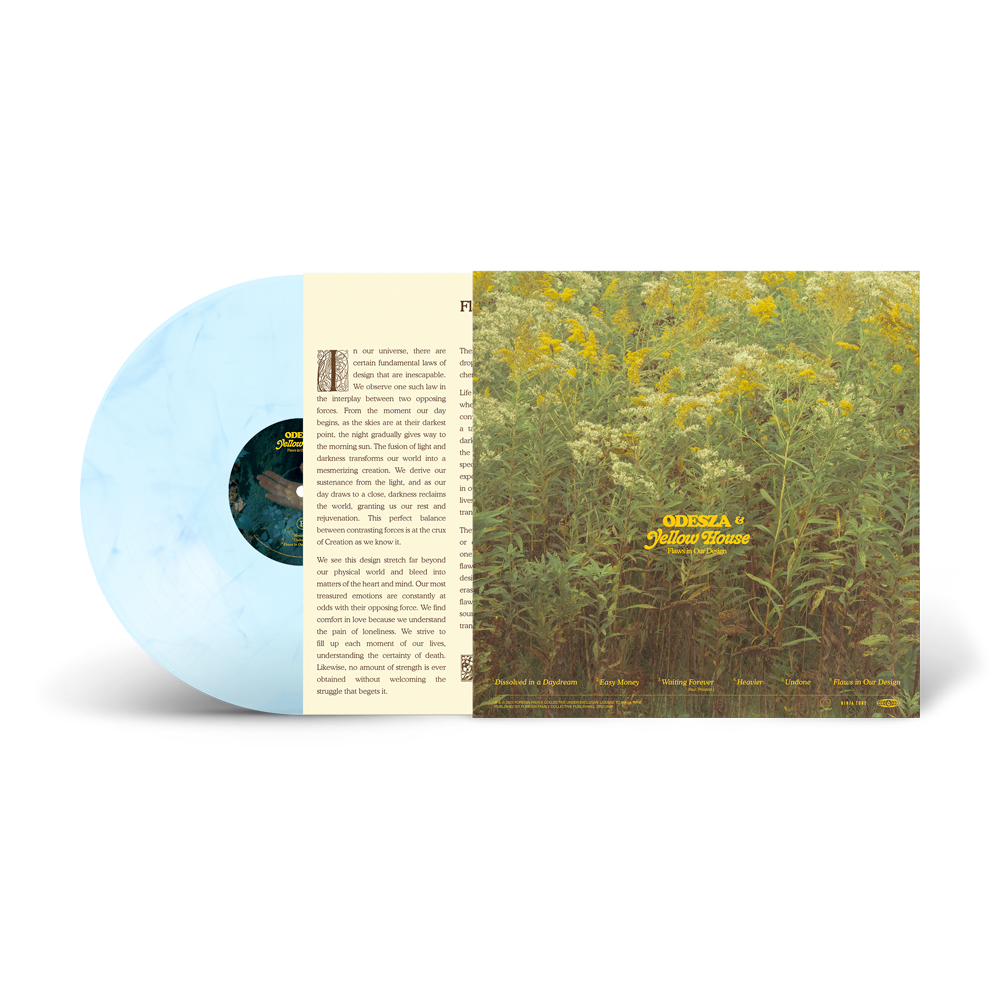 Flaws in Our Design LP - (Sky Blue Vinyl) Back Open Sleeve Feature